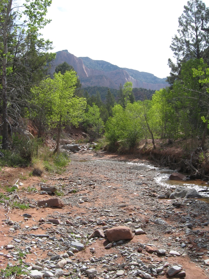 Zion National Park